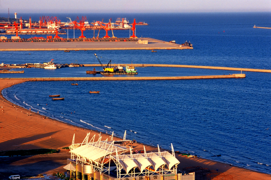 秦皇岛的柳枝情