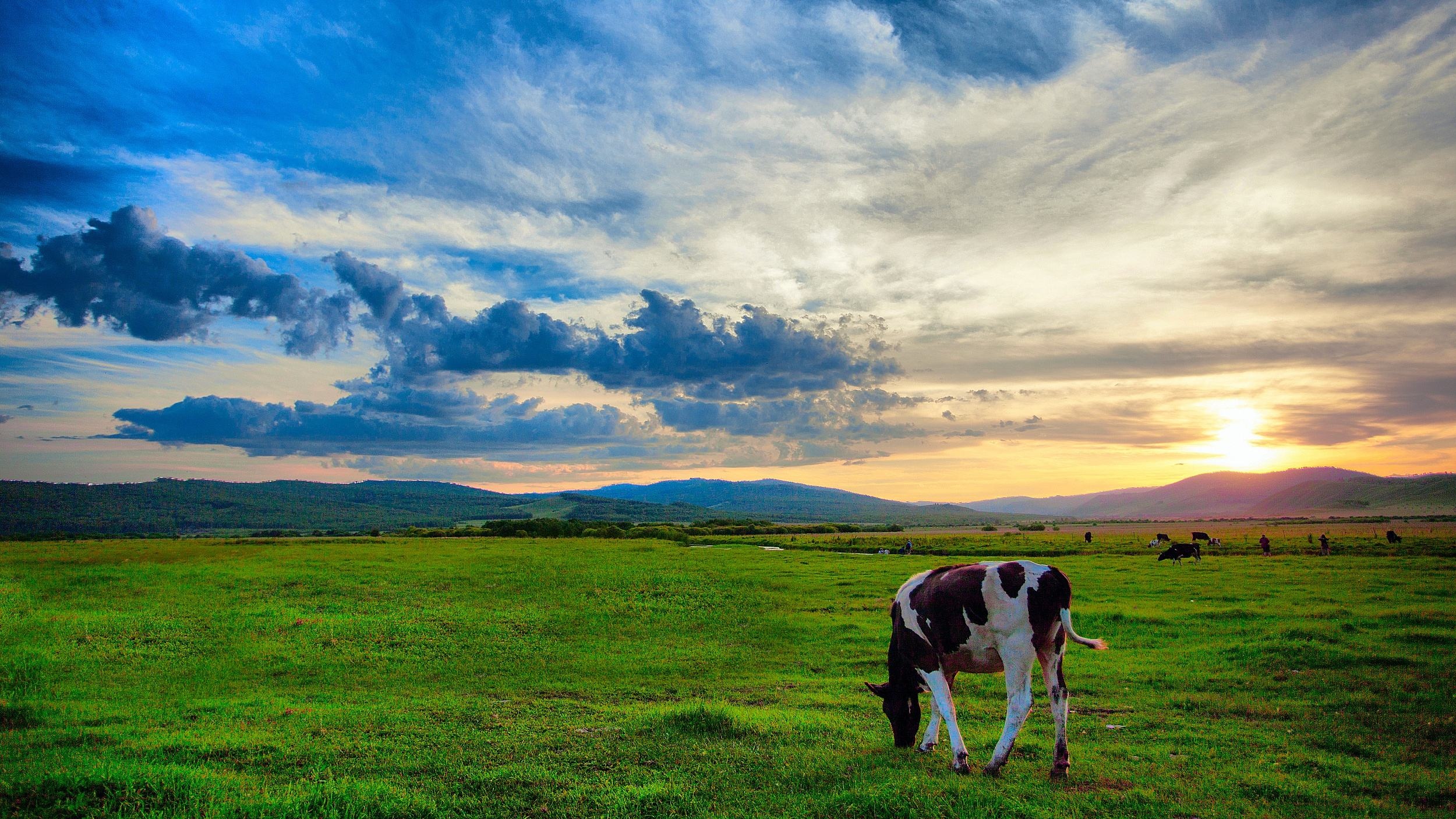 呼伦贝尔，草原魅力与自然之韵