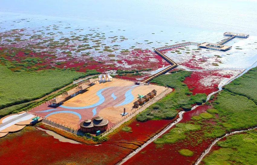 盘锦自然探索之旅,寻找内心的平和与喜悦