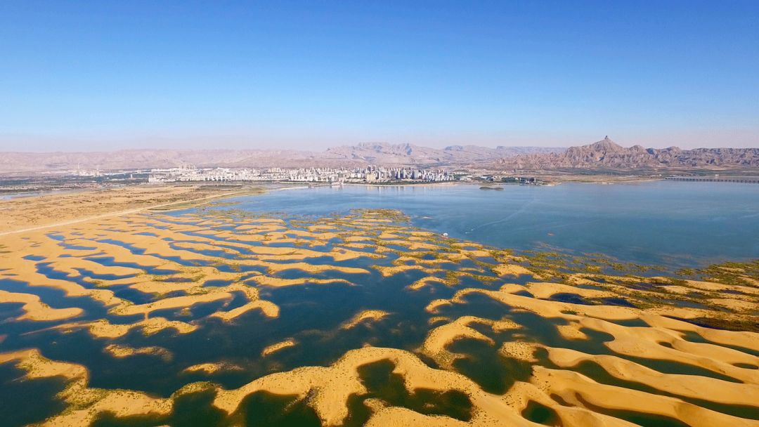 乌海探秘,揭秘美丽乌海的海洋奇观🌊🌟